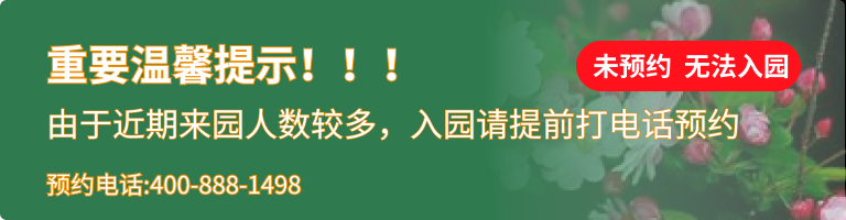 钱江陵园